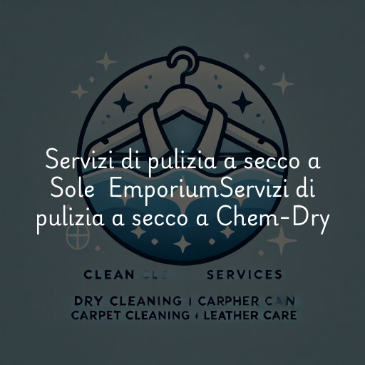 Servizi di pulizia a secco a