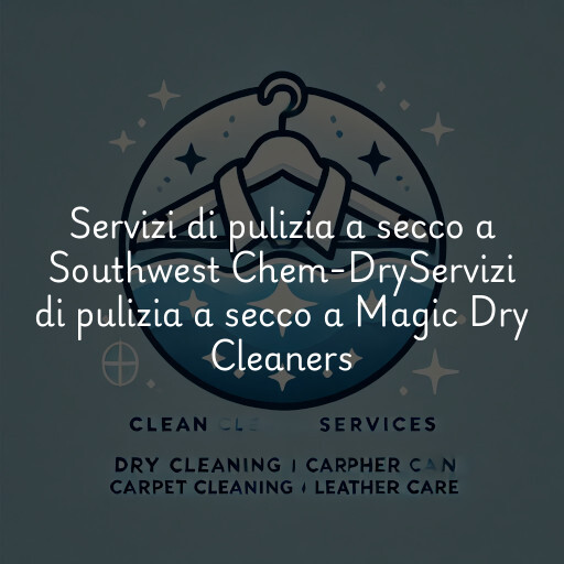 Servizi di pulizia a secco a