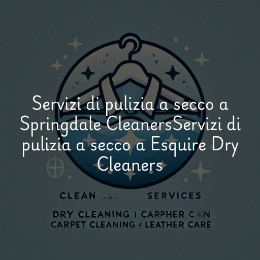 Servizi di pulizia a secco a