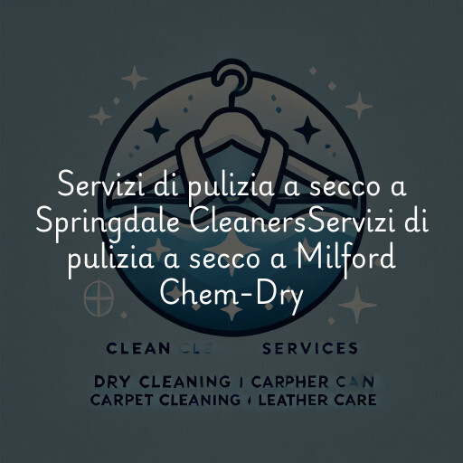 Servizi di pulizia a secco a