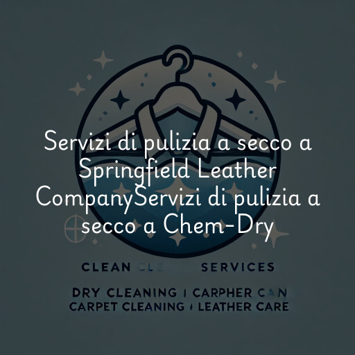 Servizi di pulizia a secco a