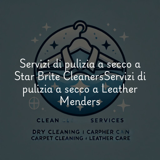 Servizi di pulizia a secco a