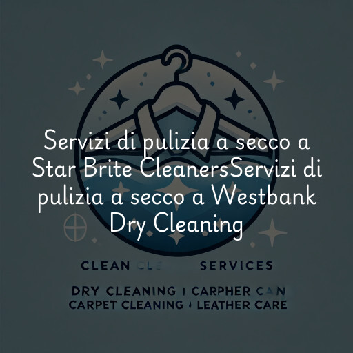 Servizi di pulizia a secco a