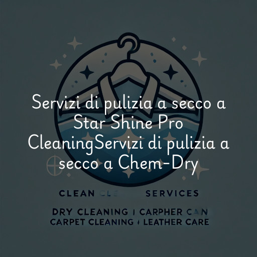 Servizi di pulizia a secco a