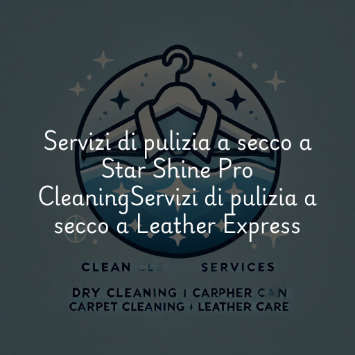 Servizi di pulizia a secco a