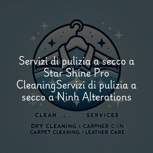 Servizi di pulizia a secco a