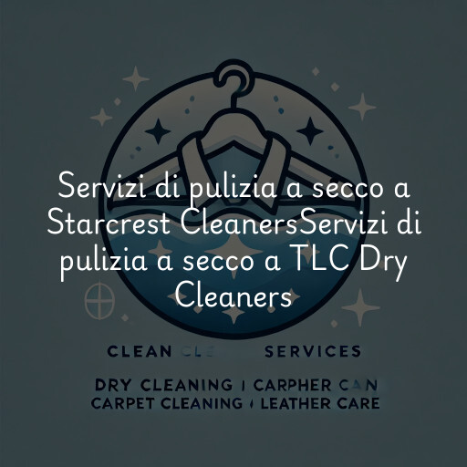 Servizi di pulizia a secco a