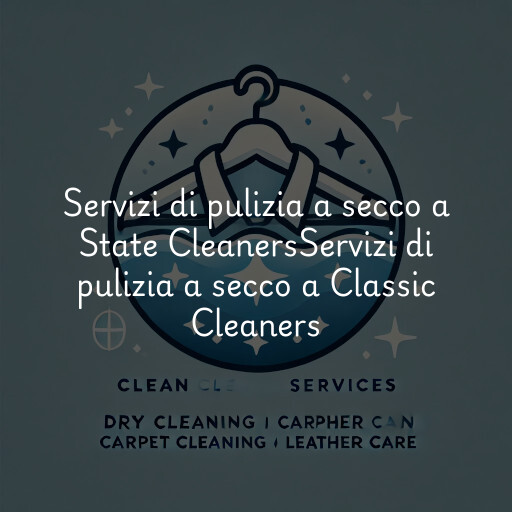 Servizi di pulizia a secco a