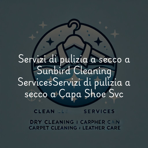Servizi di pulizia a secco a