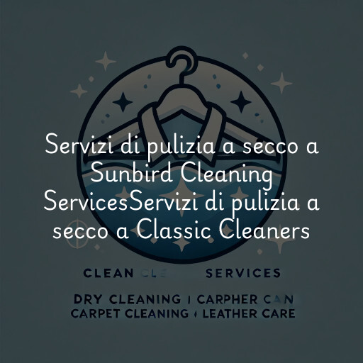 Servizi di pulizia a secco a