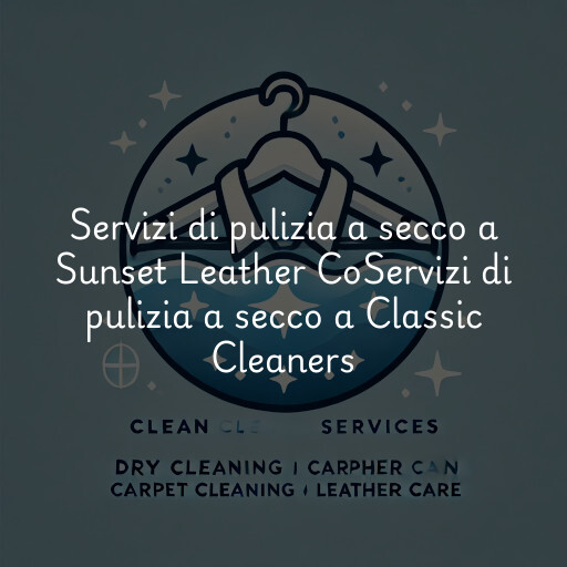 Servizi di pulizia a secco a