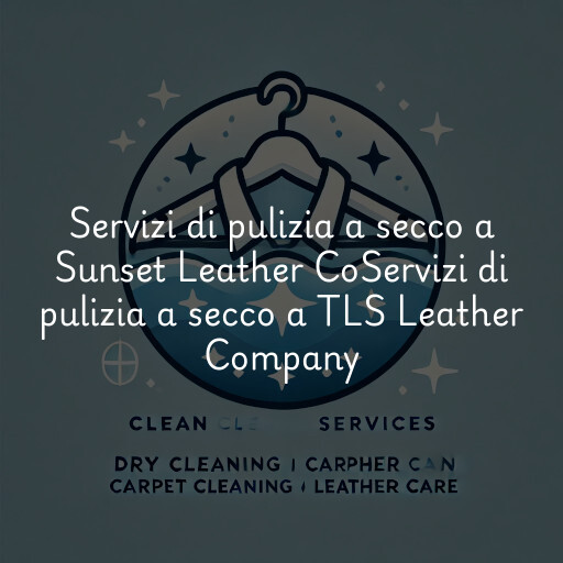 Servizi di pulizia a secco a