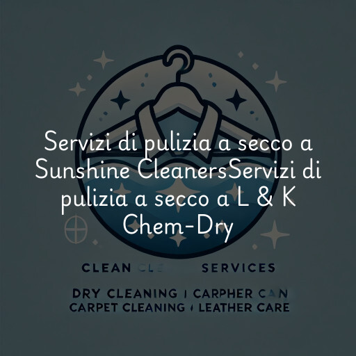 Servizi di pulizia a secco a