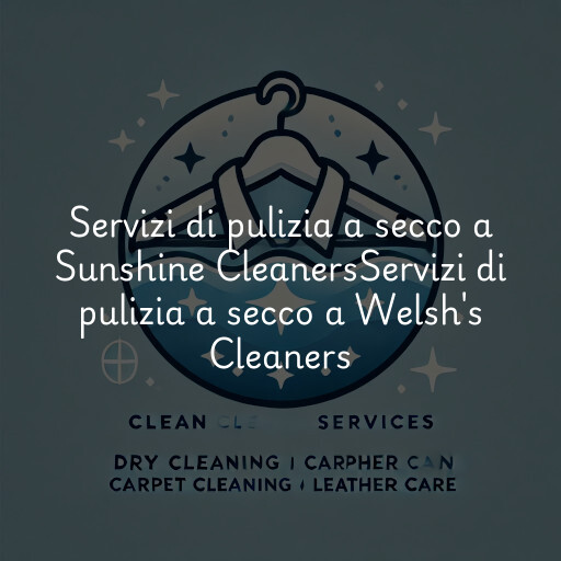 Servizi di pulizia a secco a