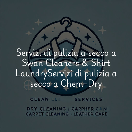 Servizi di pulizia a secco a
