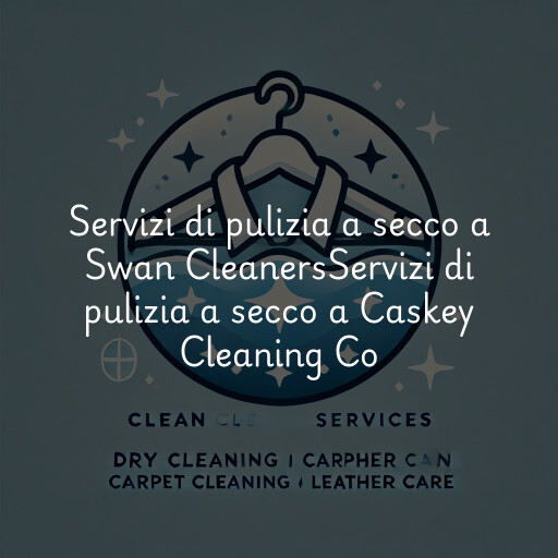Servizi di pulizia a secco a