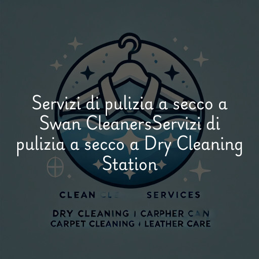 Servizi di pulizia a secco a