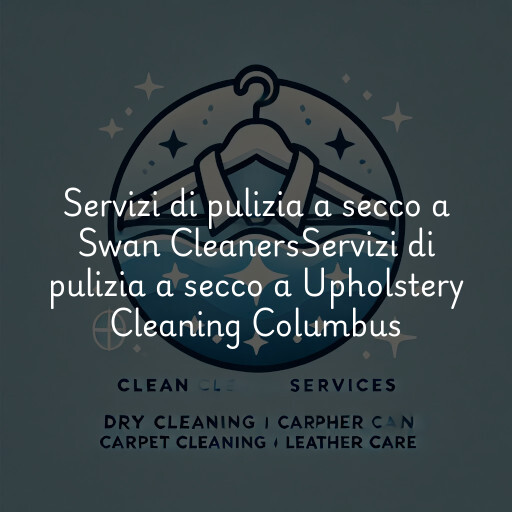 Servizi di pulizia a secco a
