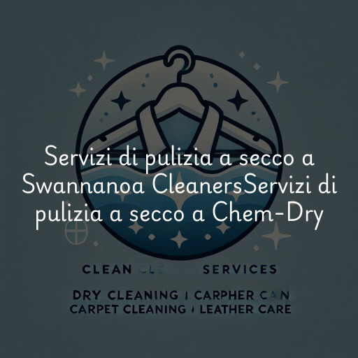 Servizi di pulizia a secco a