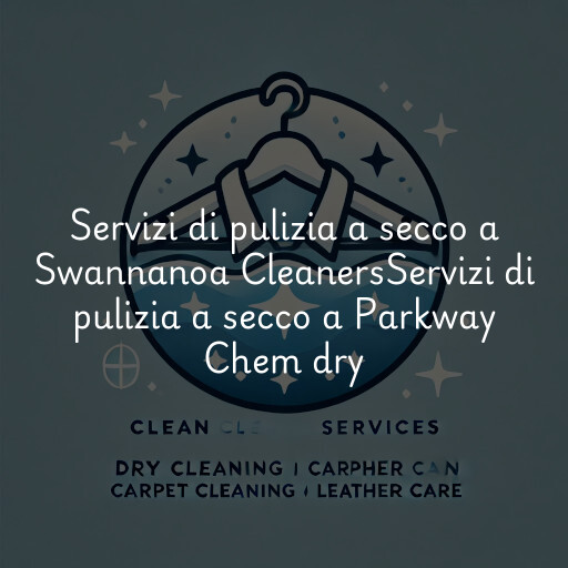 Servizi di pulizia a secco a