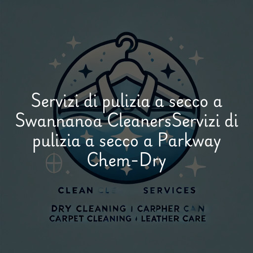 Servizi di pulizia a secco a