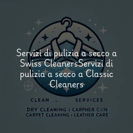 Servizi di pulizia a secco a