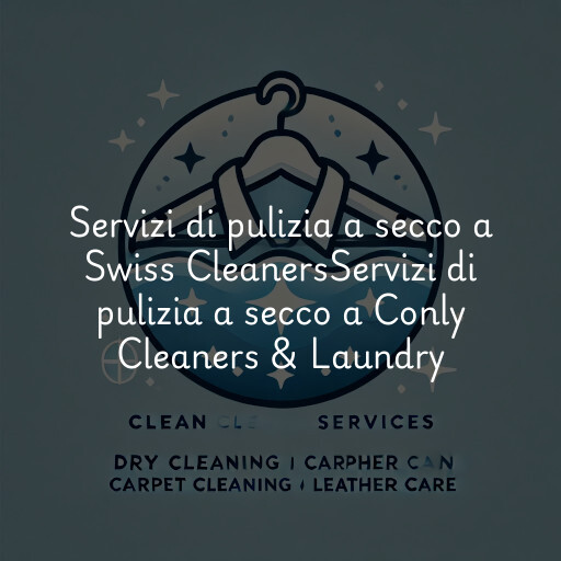 Servizi di pulizia a secco a