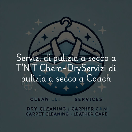Servizi di pulizia a secco a