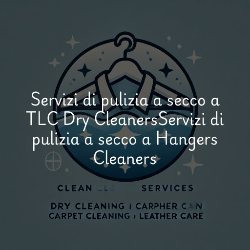 Servizi di pulizia a secco a