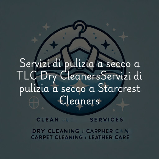 Servizi di pulizia a secco a