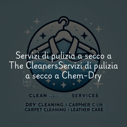 Servizi di pulizia a secco a