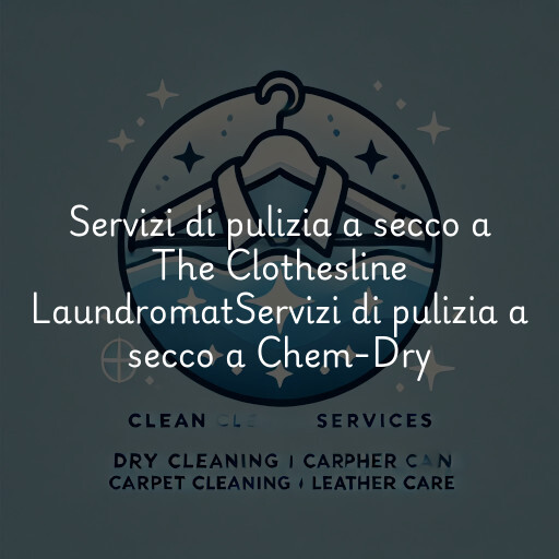 Servizi di pulizia a secco a