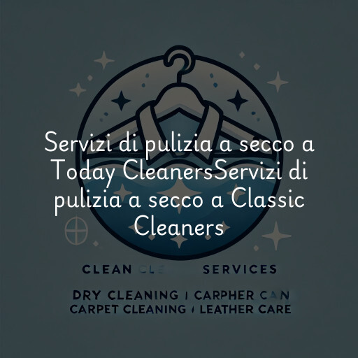 Servizi di pulizia a secco a