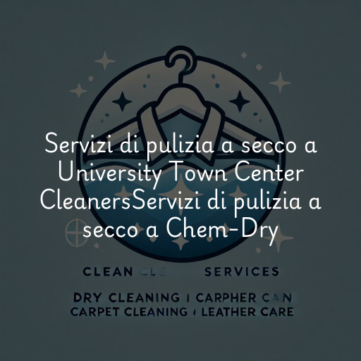 Servizi di pulizia a secco a