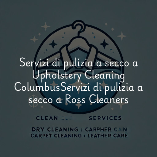 Servizi di pulizia a secco a