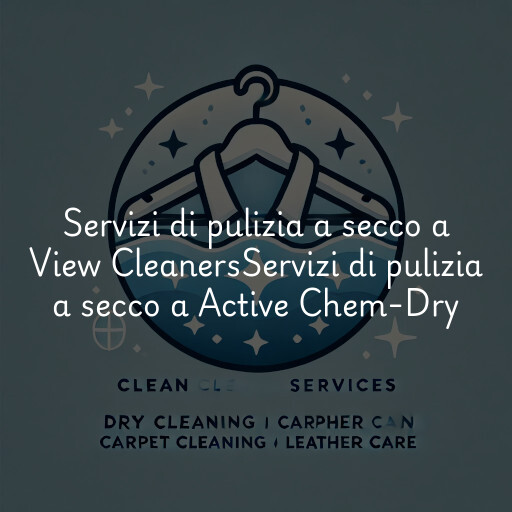 Servizi di pulizia a secco a