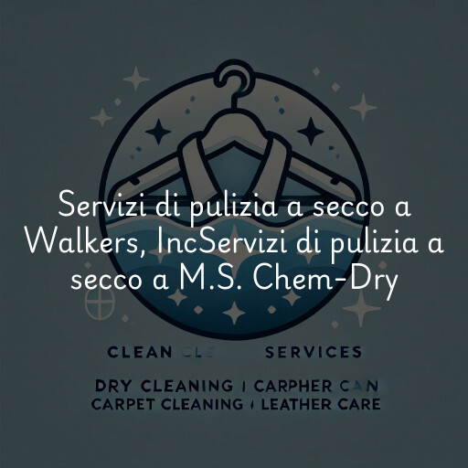 Servizi di pulizia a secco a