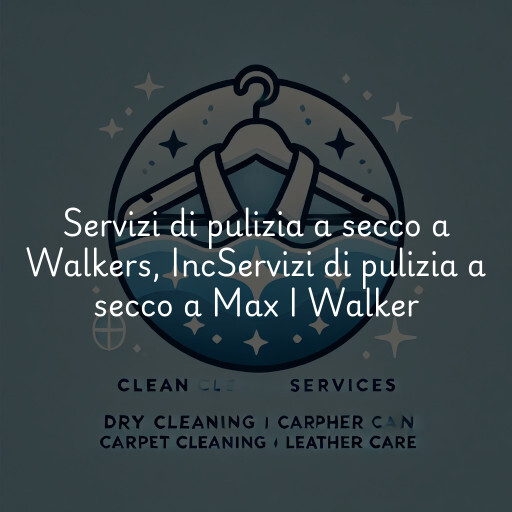 Servizi di pulizia a secco a