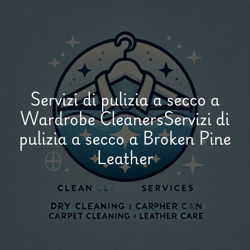 Servizi di pulizia a secco a