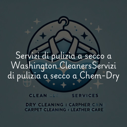 Servizi di pulizia a secco a