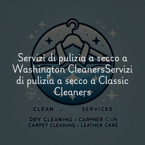 Servizi di pulizia a secco a