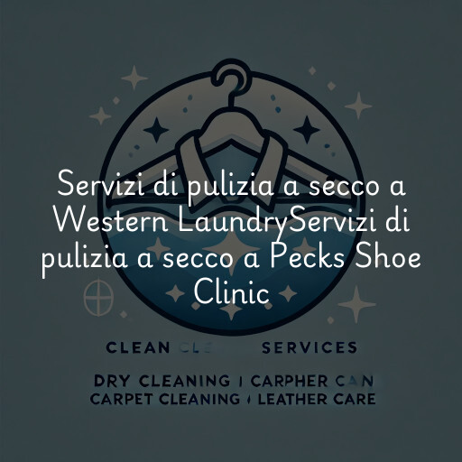 Servizi di pulizia a secco a