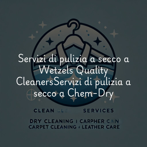 Servizi di pulizia a secco a