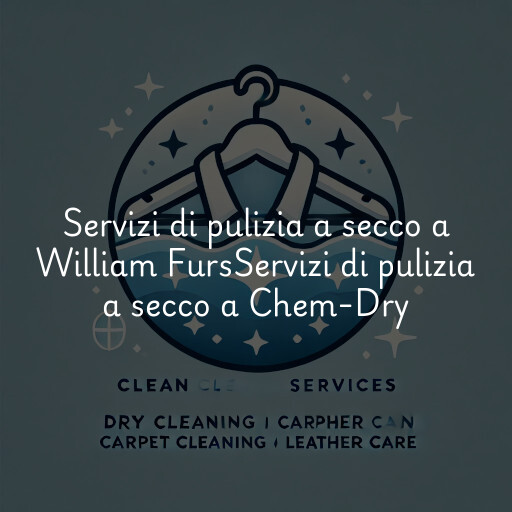 Servizi di pulizia a secco a