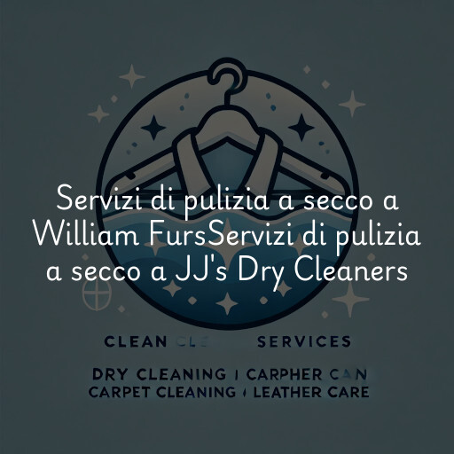 Servizi di pulizia a secco a