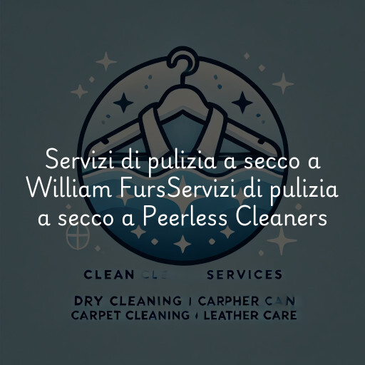 Servizi di pulizia a secco a