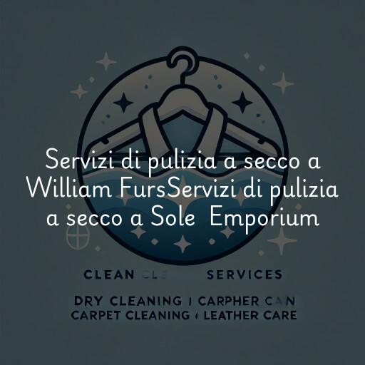 Servizi di pulizia a secco a