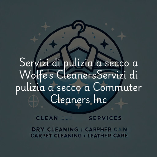 Servizi di pulizia a secco a