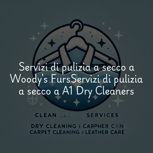 Servizi di pulizia a secco a