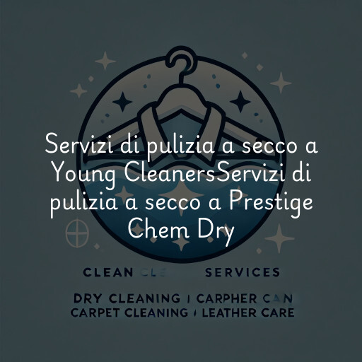 Servizi di pulizia a secco a